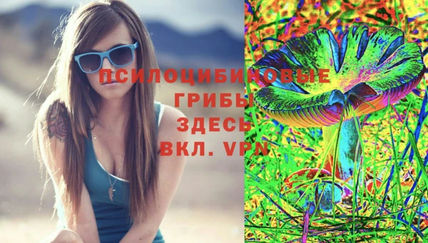 соль ск Абаза